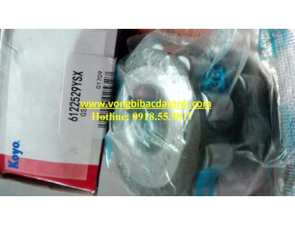 VÒNG BI LỆCH TÂM 6122529 YSX